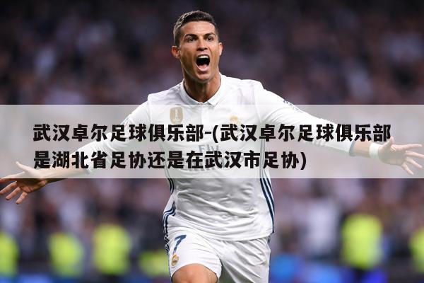 武汉卓尔足球俱乐部-(武汉卓尔足球俱乐部是湖北省足协还是在武汉市足协)