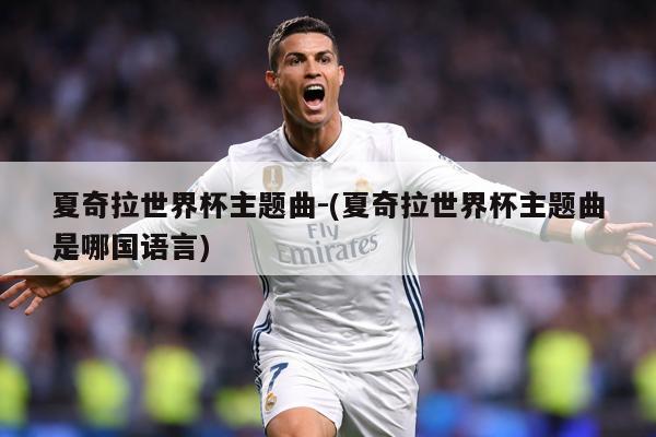 夏奇拉世界杯主题曲-(夏奇拉世界杯主题曲是哪国语言)