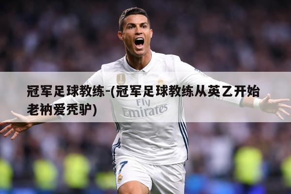 冠军足球教练-(冠军足球教练从英乙开始 老衲爱秃驴)