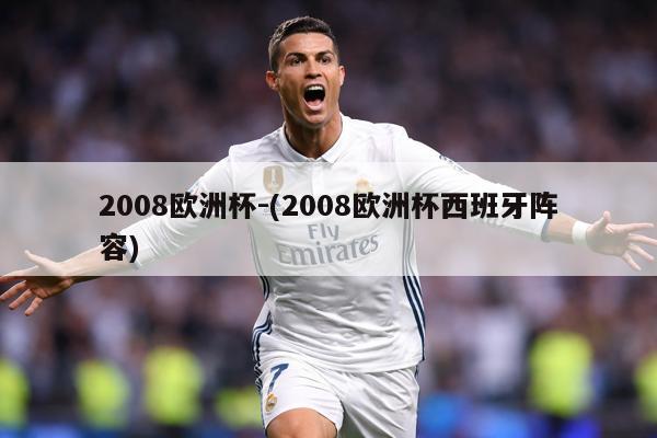 2008欧洲杯-(2008欧洲杯西班牙阵容)